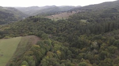 Çarpıcı bir hava görüntüsü yoğun ve canlı bir ormanı bulutlu bir gökyüzüne karşı uzanan yuvarlanan tepelerle birlikte yakalar.
