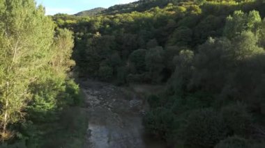 Huzurlu bir nehir, yumuşak güneş ışığıyla yıkanmış yemyeşil ve gür bir ormanın içinde zarifçe kıvrılır.