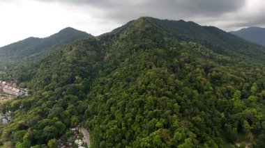 Sersemletici insansız hava aracı 4K görüntüleri Tayland 'ın güzel yeşil dağlık arazisini gösteriyor.