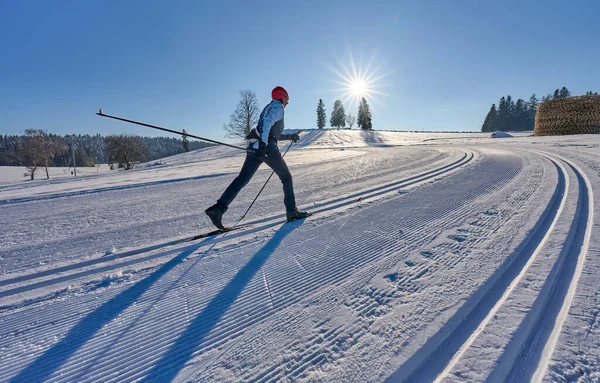 stock image Woman cross-country skiing  Bregenz Forest Mountains near Sulzberg, Vorarlberg, Austria