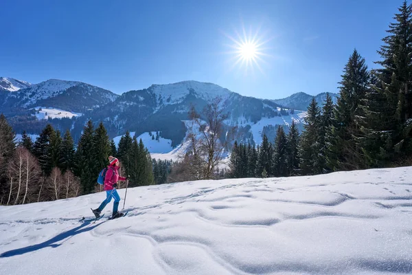 Mooie Actieve Senior Vrouw Sneeuwschoenwandelen Diepe Poedersneeuw Onder Berg Hochgrat — Stockfoto