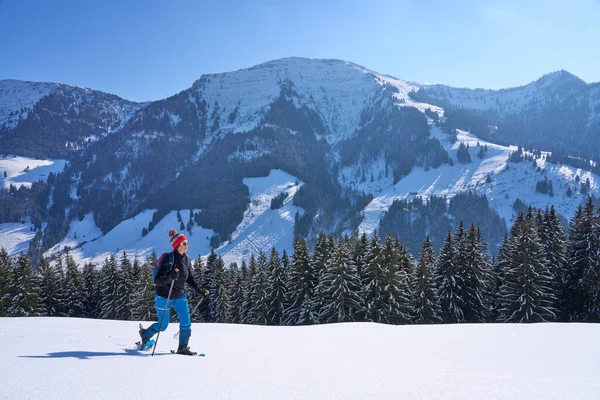 stock image nice and active senior woman snowshoeing in deep powder snow below Mount Hochgrat in the mountains of the Allgau alps near Oberstaufen and Steibis, Bavaria, Germany