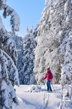 Avusturya 'nın Vorarlberg kentindeki Bregenz Ormanı' nın Hochhaedrich bölgesinde kar altında kar ayakkabılarıyla yürüyüş yapan hoş ve aktif bir son sınıf öğrencisi.