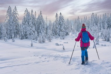 Avusturya 'nın Vorarlberg kentindeki Bregenz Ormanı' nın Hochhaedrich bölgesinde kar altında kar ayakkabılarıyla yürüyüş yapan hoş ve aktif bir son sınıf öğrencisi.