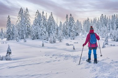 Avusturya 'nın Vorarlberg kentindeki Bregenz Ormanı' nın Hochhaedrich bölgesinde kar altında kar ayakkabılarıyla yürüyüş yapan hoş ve aktif bir son sınıf öğrencisi.
