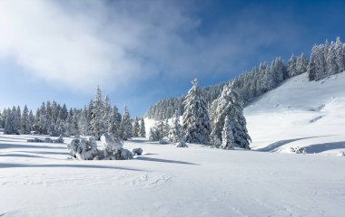 Bregenz Ormanı Dağları, Vorarlberg, Avusturya 'daki sakin kar manzarası