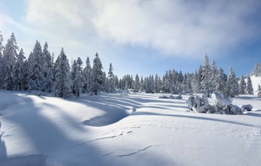 Bregenz Ormanı Dağları, Vorarlberg, Avusturya 'daki sakin kar manzarası