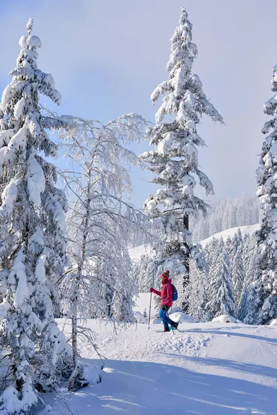 Avusturya Nın Vorarlberg Kentindeki Bregenz Ormanı Nın Hochhaedrich Bölgesinde Kar — Stok fotoğraf