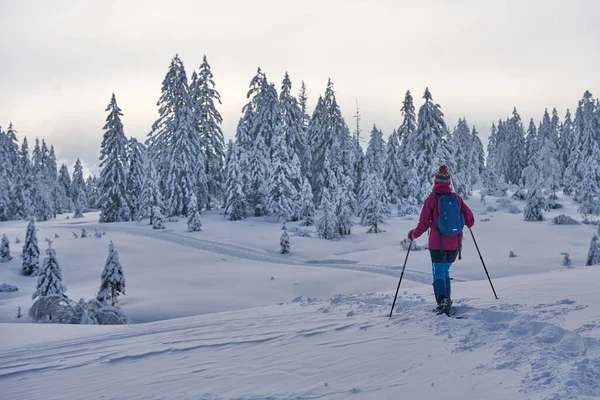 Nice Active Senior Woman Hiking Snow Shoes Deep Powder Snow — Stock Photo, Image