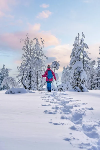 Nice Active Senior Woman Hiking Snow Shoes Deep Powder Snow — Stock Photo, Image