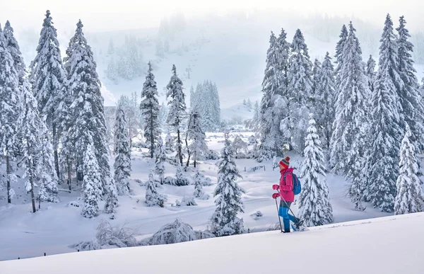奥地利福拉尔贝格市Bregenz森林的Hochhaedrich地区 一位身披雪鞋 身披厚厚的雪粉的漂亮而活跃的老年妇女正在徒步旅行 — 图库照片