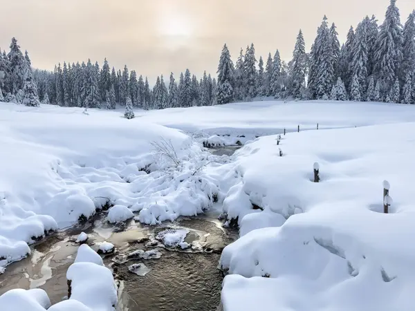 Tranquil Snowy Winter Landscape Bregenz Forest Mountains Vorarlberg Austria — Stock Photo, Image