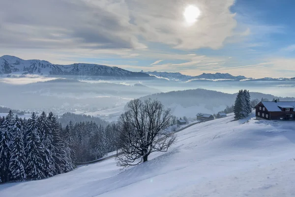 Tranquila Paisagem Nevada Inverno Nas Montanhas Floresta Bregenz Vorarlberg Áustria — Fotografia de Stock