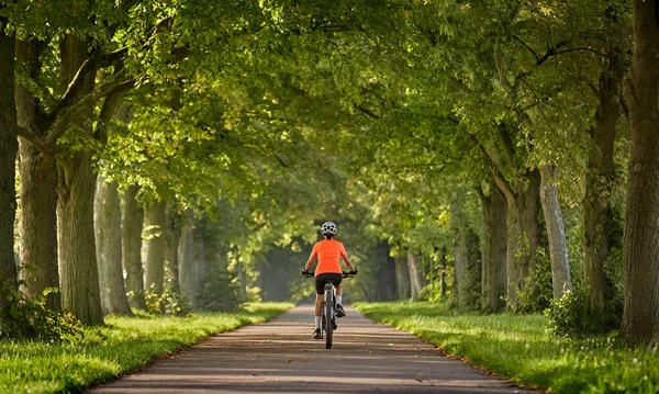 attractive senior woman cycling with her electric mountain bike in an old avenue in Ludwigsburg, Baden-Wuerttemberg, Germany