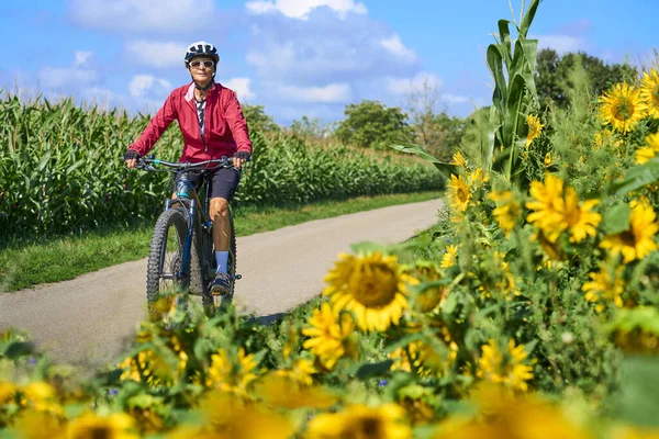 Милая Старшая Женщина Велосипеде Электрическим Горным Велосипедом Цветущем Поле Подсолнухов — стоковое фото