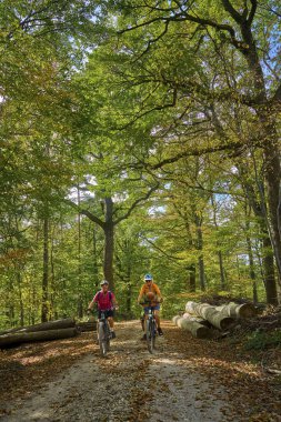Almanya 'nın Baden-Wuerttemberg kentindeki Schwaebische Albleri' nin sonbahar ormanlarında bisikletleriyle bisiklet süren hoş son sınıf kız arkadaşları.