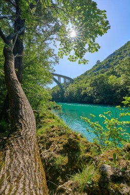 Slovenya 'nın Bovec kenti yakınlarındaki Trigalv Ulusal Parkı' ndaki Soca Vadisi 'nde kristal berrak turkuaz suyu bulunan vahşi bir kanyon.