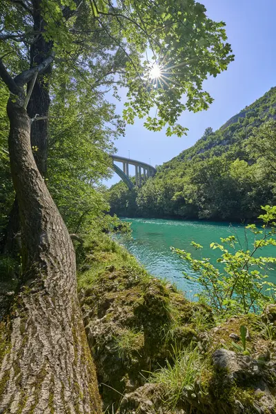 Slovenya 'nın Bovec kenti yakınlarındaki Trigalv Ulusal Parkı' ndaki Soca Vadisi 'nde kristal berrak turkuaz suyu bulunan vahşi bir kanyon.