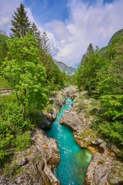 Slovenya 'nın Bovec kenti yakınlarındaki Trigalv Ulusal Parkı' ndaki Soca Vadisi 'nde kristal berrak turkuaz suyu bulunan vahşi bir kanyon.
