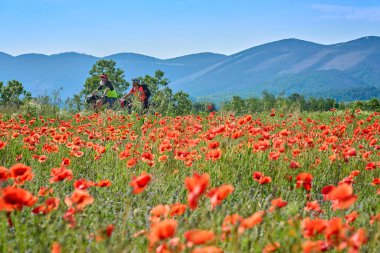 Slovenya 'nın Solkan yakınlarındaki Karst Dağları' nda bisiklet turunda aktif kıdemli bir çift.