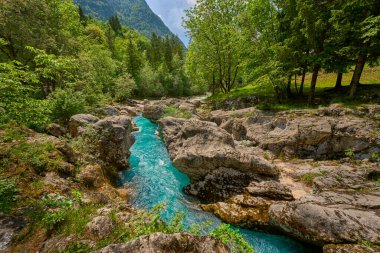 Slovenya 'nın Bovec kenti yakınlarındaki Trigalv Ulusal Parkı' ndaki Soca Vadisi 'nde kristal berrak turkuaz suyu bulunan vahşi bir kanyon.