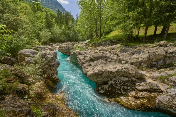 Slovenya 'nın Bovec kenti yakınlarındaki Trigalv Ulusal Parkı' ndaki Soca Vadisi 'nde kristal berrak turkuaz suyu bulunan vahşi bir kanyon.