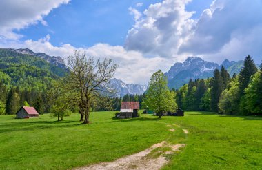 Kranska Gora, Julian Alps, Slovenya yakınlarındaki Triglav Ulusal Parkı 'ndaki dağ manzarası