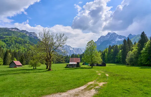 Kranska Gora, Julian Alps, Slovenya yakınlarındaki Triglav Ulusal Parkı 'ndaki dağ manzarası