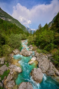 Slovenya 'nın Bovec kenti yakınlarındaki Trigalv Ulusal Parkı' ndaki Soca Vadisi 'nde kristal berrak turkuaz suyu bulunan vahşi bir kanyon.