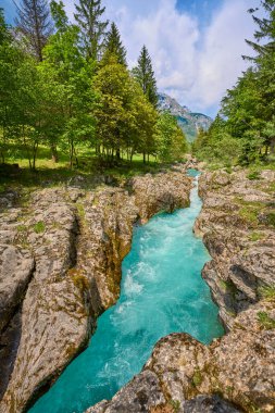 Slovenya 'nın Bovec kenti yakınlarındaki Trigalv Ulusal Parkı' ndaki Soca Vadisi 'nde kristal berrak turkuaz suyu bulunan vahşi bir kanyon.