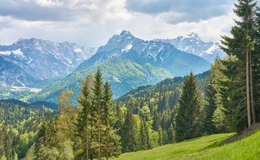 Kranska Gora, Julian Alps, Slovenya yakınlarındaki Triglav Ulusal Parkı 'ndaki dağ manzarası