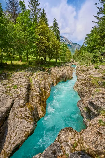 Slovenya 'nın Bovec kenti yakınlarındaki Trigalv Ulusal Parkı' ndaki Soca Vadisi 'nde kristal berrak turkuaz suyu bulunan vahşi bir kanyon.