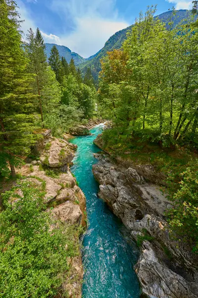 Slovenya 'nın Bovec kenti yakınlarındaki Trigalv Ulusal Parkı' ndaki Soca Vadisi 'nde kristal berrak turkuaz suyu bulunan vahşi bir kanyon.