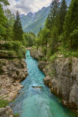 Slovenya 'nın Bovec kenti yakınlarındaki Trigalv Ulusal Parkı' ndaki Soca Vadisi 'nde kristal berrak turkuaz suyu bulunan vahşi bir kanyon.