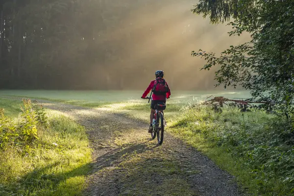 Son Sınıf Öğrencisi Güneş Doğarken Atmosperik Bir Sabah Bisiklete Biniyor Telifsiz Stok Imajlar
