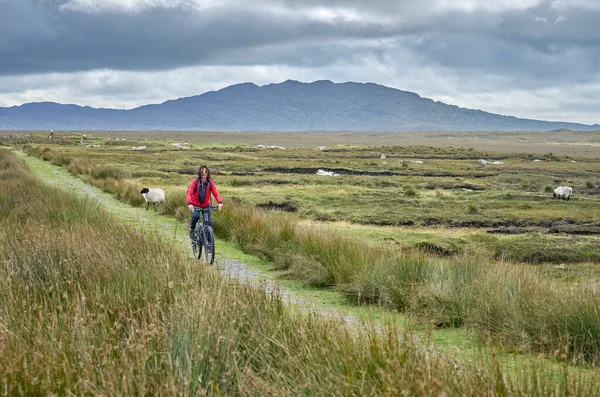 Rlanda Cumhuriyeti Nin Batı Kesiminde Derrycunlagh County Galway Yakınlarında Bisiklet Stok Resim