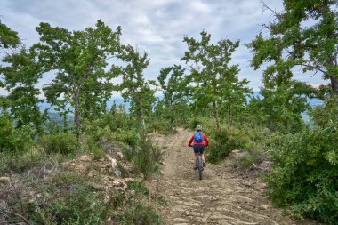 nice senior woman riding her electric mountain bike between olive and cypress trees in the hills near Arezzo in Tuscany,Italy