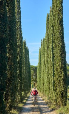 nice senior woman riding her electric mountain bike between olive and cypress trees in the hills near Arezzo in Tuscany,Italy