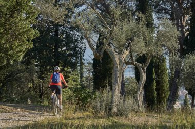 nice senior woman riding her electric mountain bike between olive and cypress trees in the hills near ArezzoTuscany,Italy
