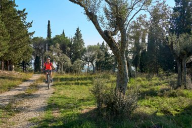 nice senior woman riding her electric mountain bike between olive and cypress trees in the hills near ArezzoTuscany,Italy