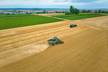 combine harvester harvesting wheat on a field in the vertile and fruitful of Langes Feld north of Stuttgart, Baden-Wrttemberg, Germany