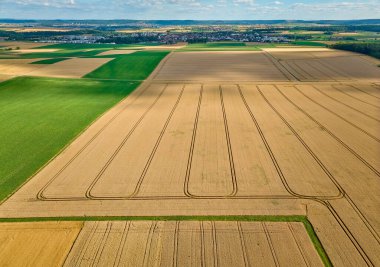 Stuttgart 'ın kuzeyindeki Langes Feld, Baden-Wuerttemberg, Almanya' nın verimli tarlalarındaki olgun mısır tarlalarının geometrik şekilleri