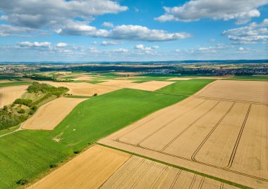 Stuttgart 'ın kuzeyindeki Langes Feld, Baden-Wuerttemberg, Almanya' nın verimli tarlalarındaki olgun mısır tarlalarının geometrik şekilleri