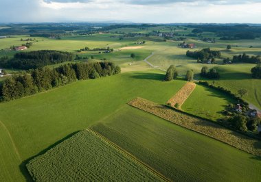 Wuerttemberg Allgaeu, Baden-Wuerttemberg, Almanya 'daki otlaklarla ve ormanlarla dolu sakin bir arazinin havadan çekilmiş fotoğrafı.