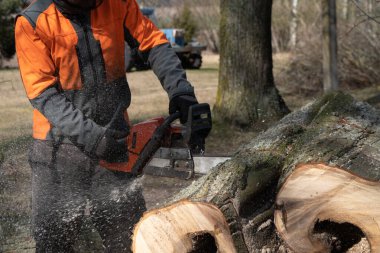 Parlak, koruyucu giysiler içinde bir ağaççı ve bir kask devrilmiş bir ağacı parçalara ayırıyor.