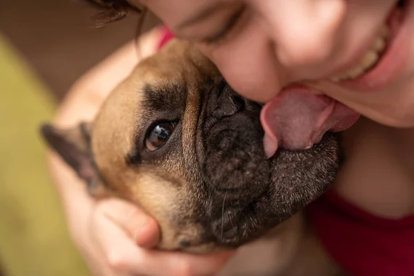 A French bulldog washes a woman\'s face or gives a kiss. This adorable photo captures a French Bulldog washing a woman\'s face or giving her a kiss. The image highlights the bond between a pet owner and their dog and can be used to showcase the affecti