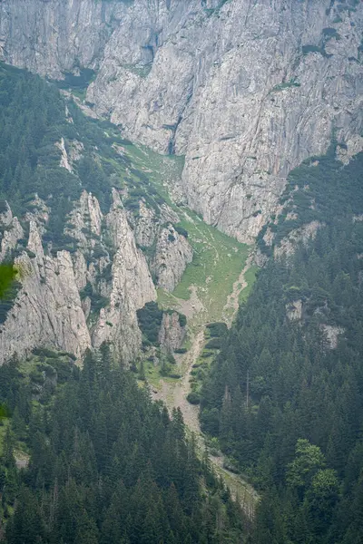 Yazın dumanlı ve sisli manzaralı bir tepe.