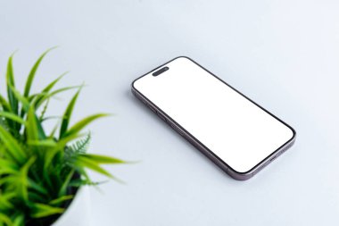 Telefon modeli beyaz masanın üzerinde. Uygulama tasarım sunumu için izole ekran. Yanında yeşil yapraklar olan bitki