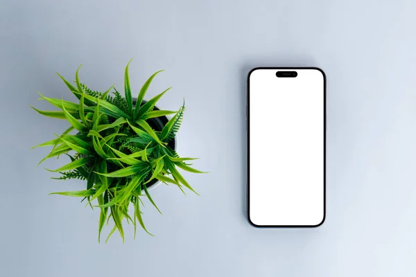 Phone Mockup Plant Top View Flat Lay Composition Modern Phone — Stock Photo, Image