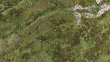 Jahorina 'daki çimenli arazide alçak insansız hava aracı uçuşu dağınık beyaz taşlar ve doğal yüzey dokularını gösteriyor.